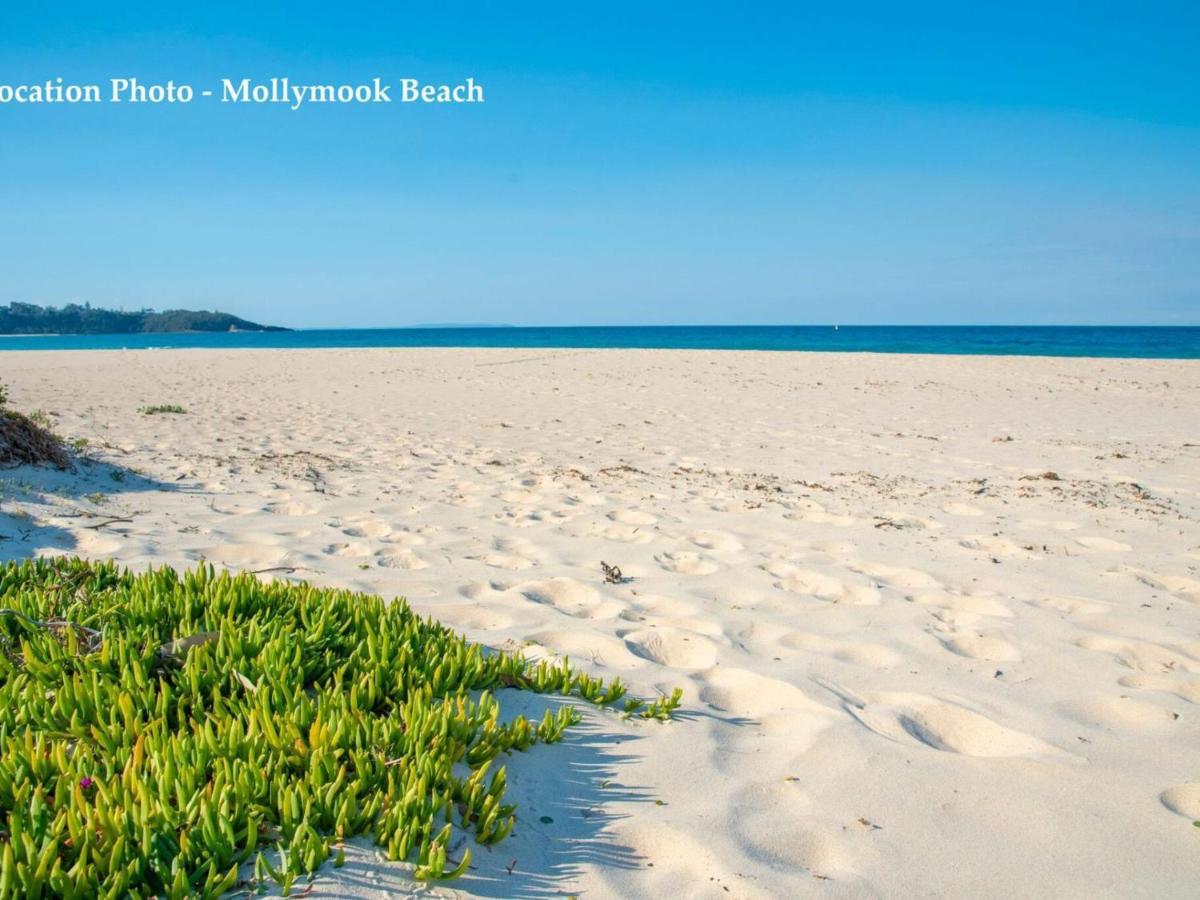Mollymook Beach Haven Ngoại thất bức ảnh